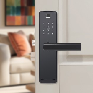 Classic and simple password-based electronic door lock