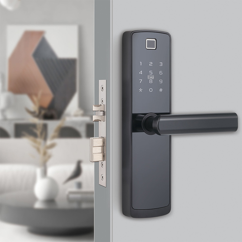 Classic and simple password-based electronic door lock