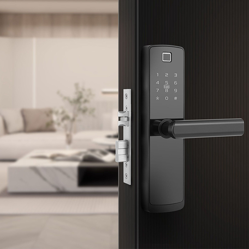 Classic and simple password-based electronic door lock