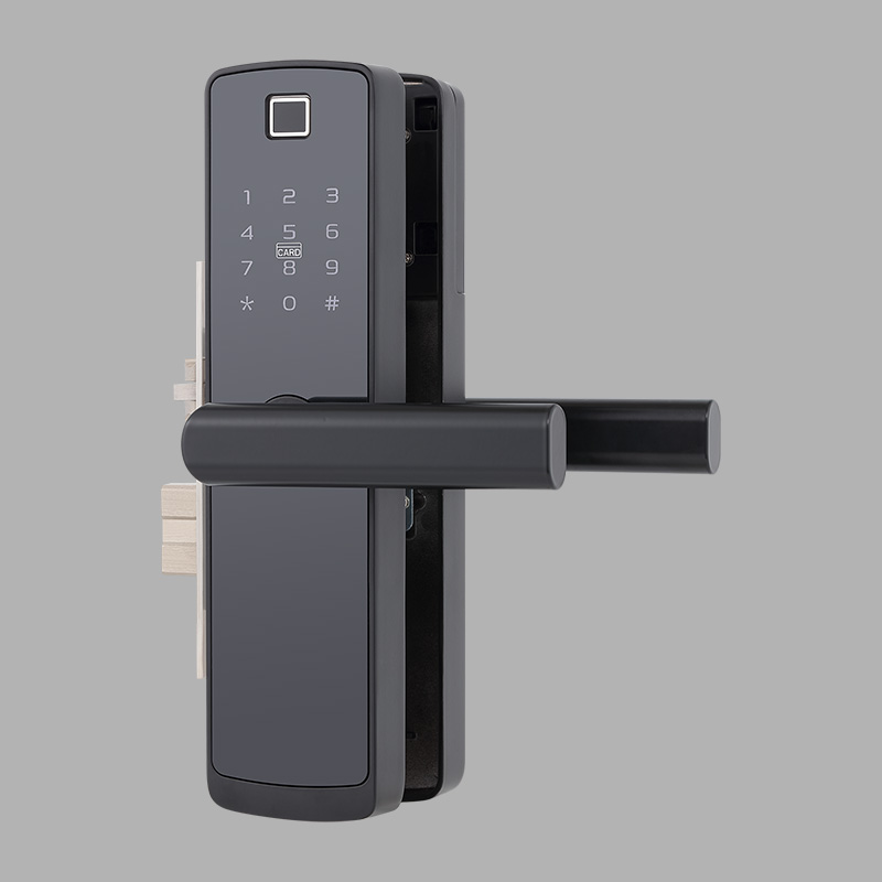 Classic and simple password-based electronic door lock