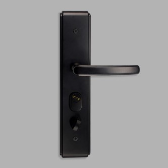 Matte black modern mechanical door lock