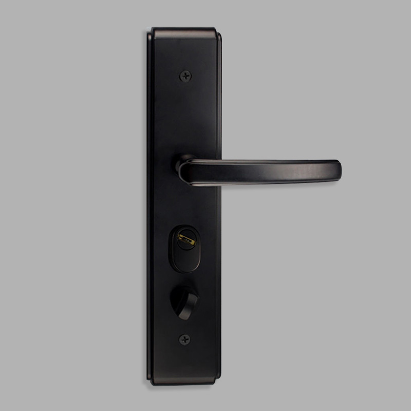 Matte black modern mechanical door lock