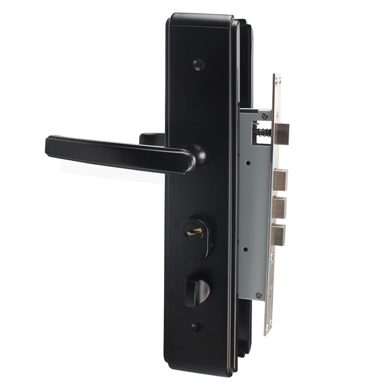 Matte black modern mechanical door lock