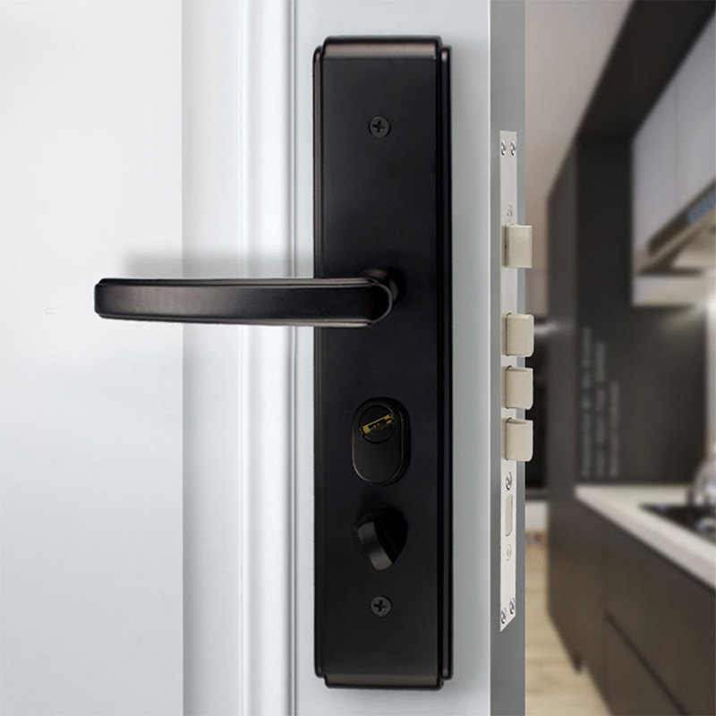 Matte black modern mechanical door lock