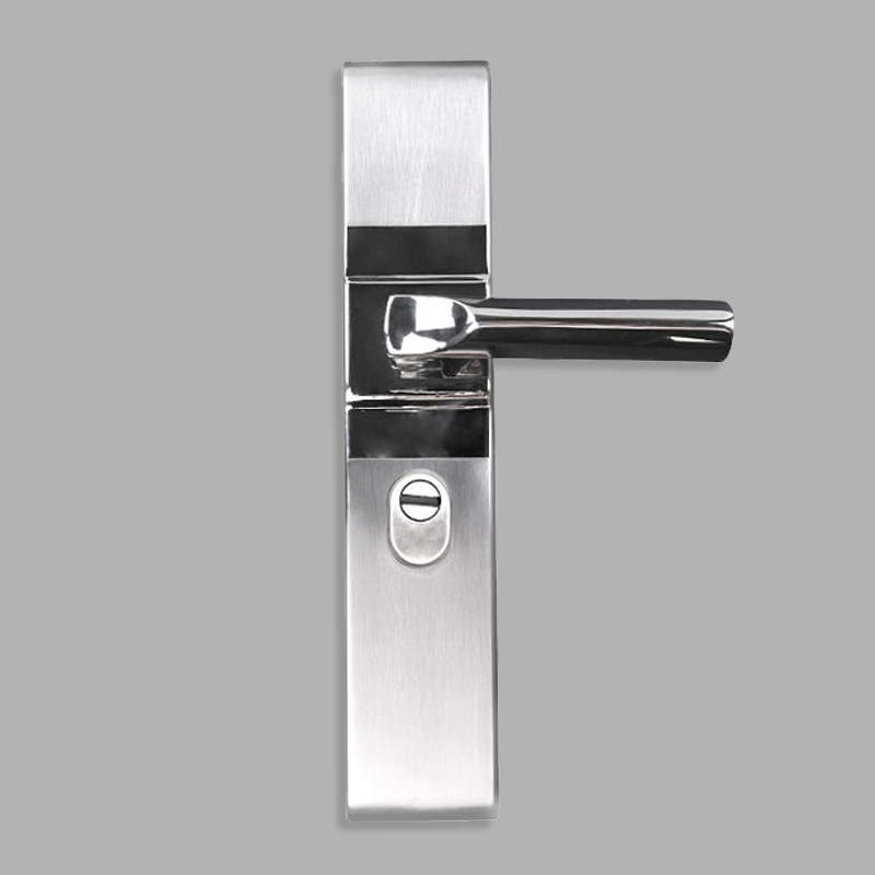 Silver high-security modern mechanical door lock
