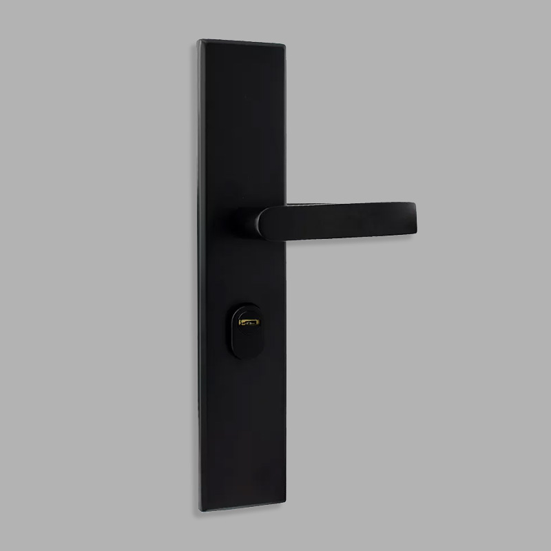 Stainless steel modern mechanical door lock