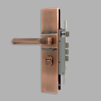 Stainless steel anti-theft vintage mechanical door lock