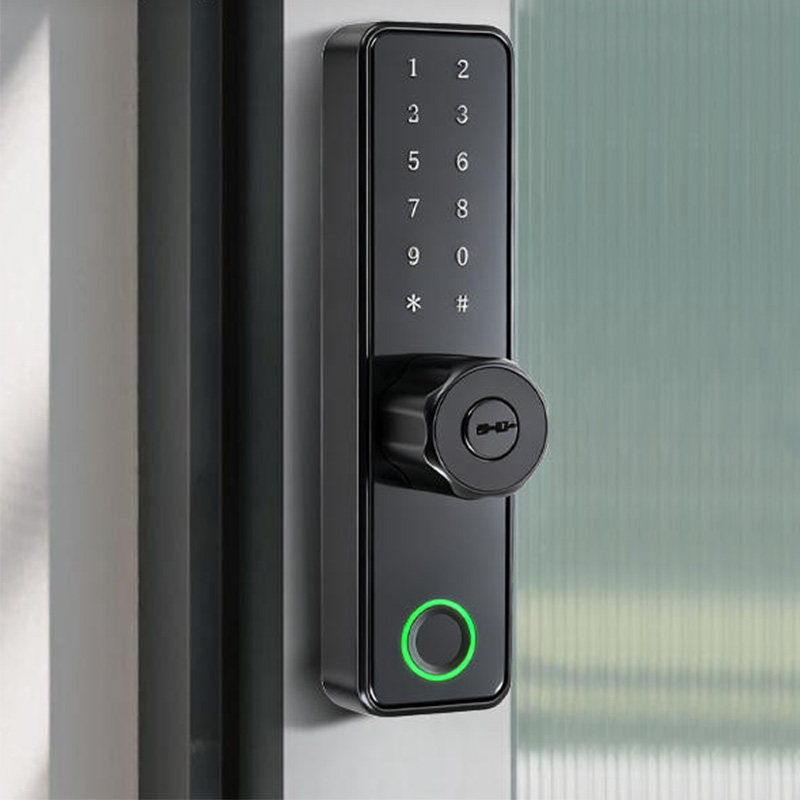 Safe and durable mobile phone-controlled smart door lock