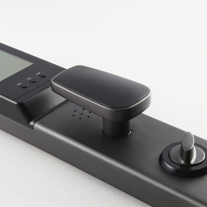 Home rechargeable facial recognition smart door lock