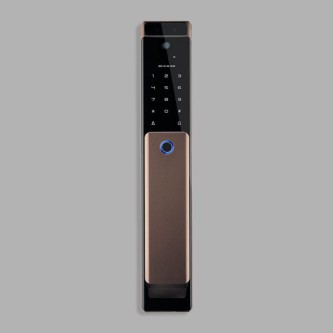 Multifunctional facial recognition smart door lock
