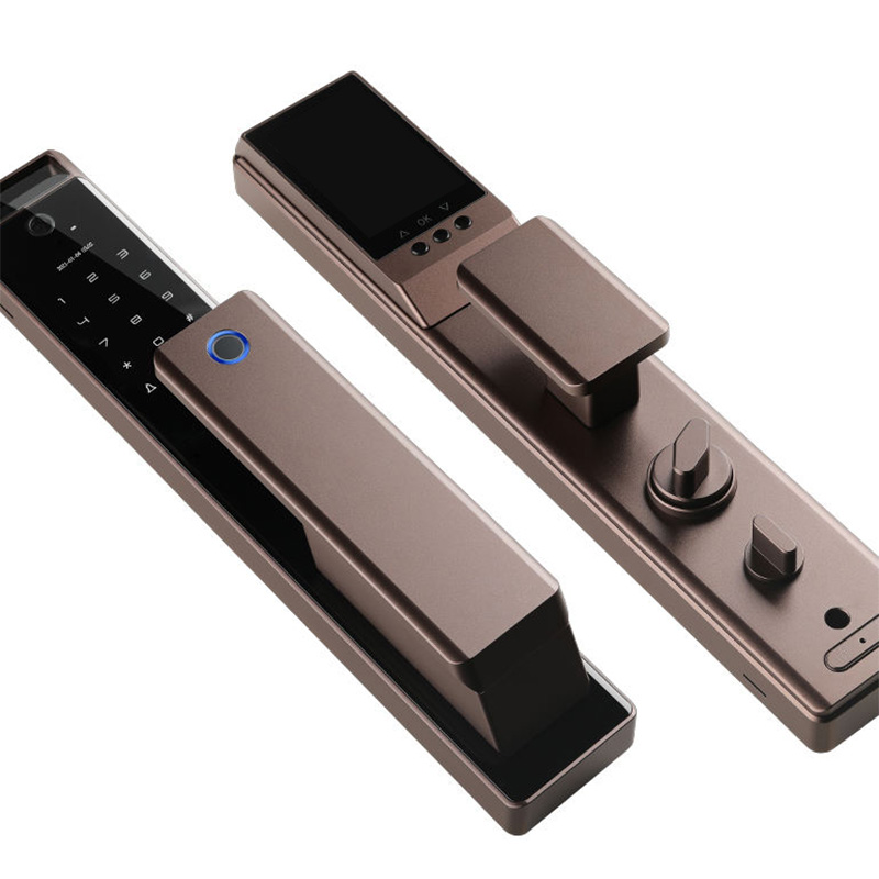 Multifunctional facial recognition smart door lock