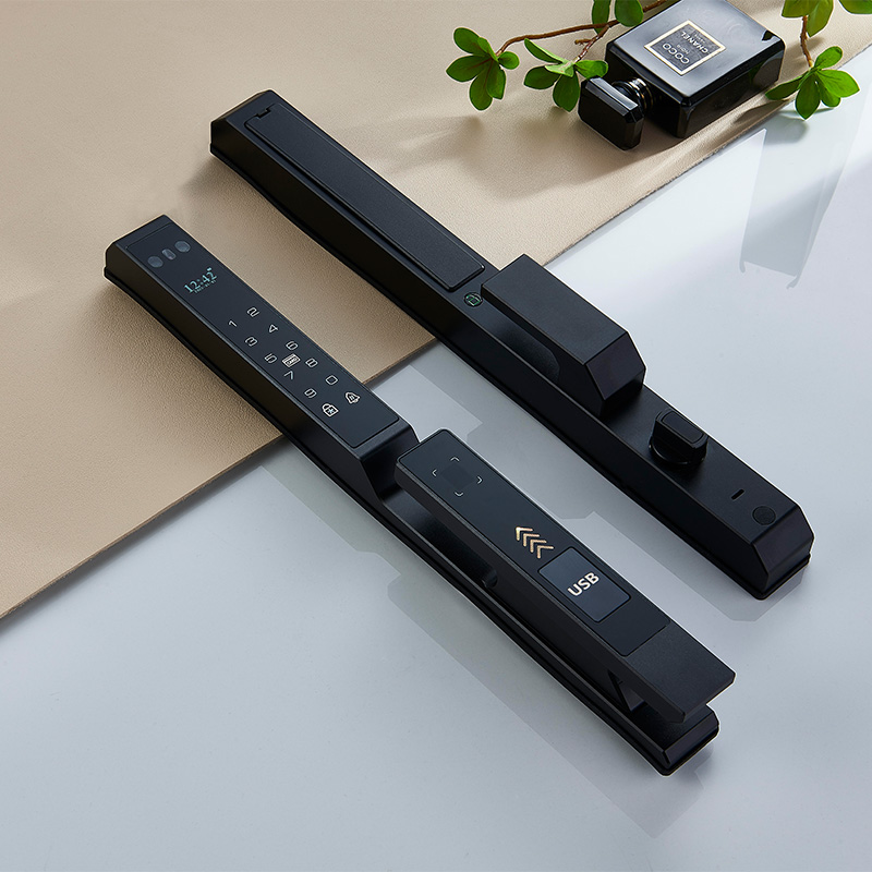 Minimalist narrow-frame face recognition smart door lock