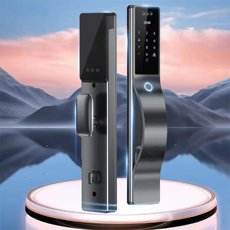 High-quality zinc alloy facial recognition smart door lock