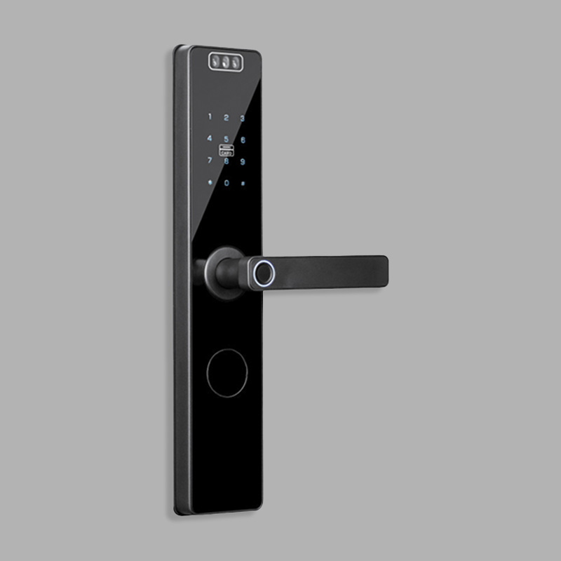 Black wireless facial recognition smart door lock