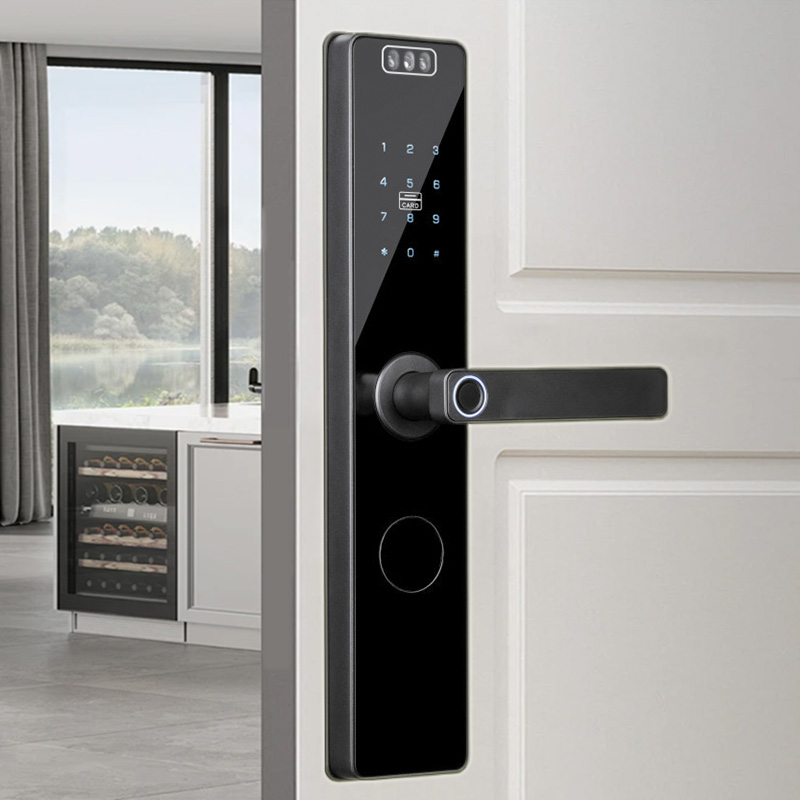 Black wireless facial recognition smart door lock