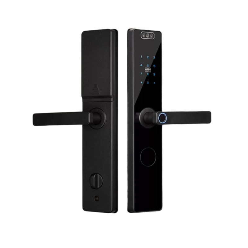Black wireless facial recognition smart door lock