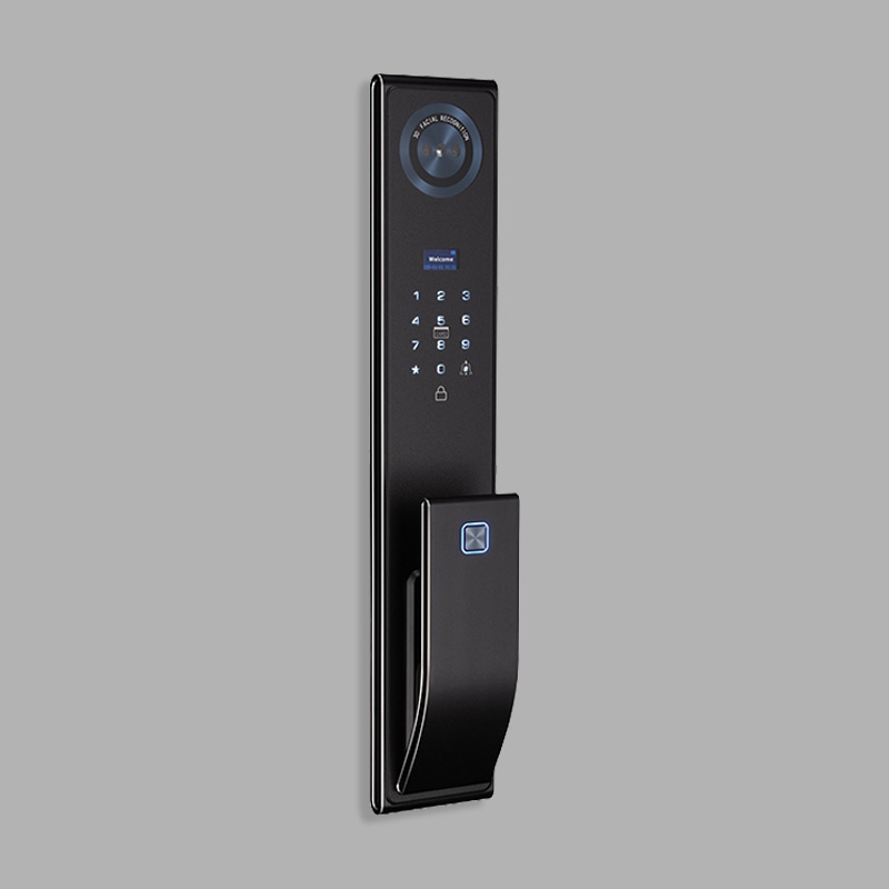 Waterproof wireless facial recognition smart door lock