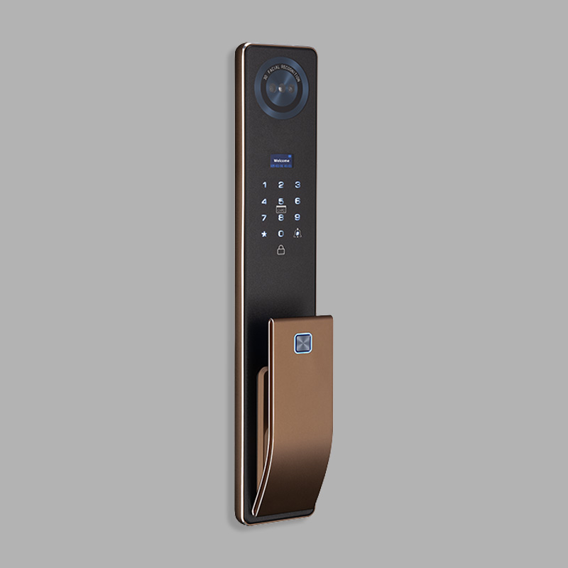 Waterproof wireless facial recognition smart door lock