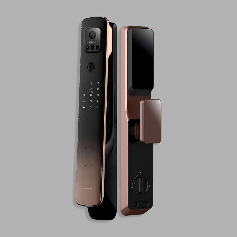 Anti-theft home facial recognition smart door lock