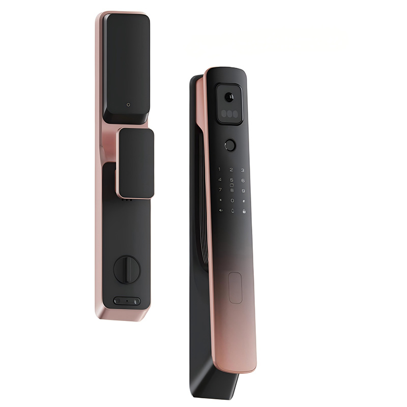 Anti-theft home facial recognition smart door lock